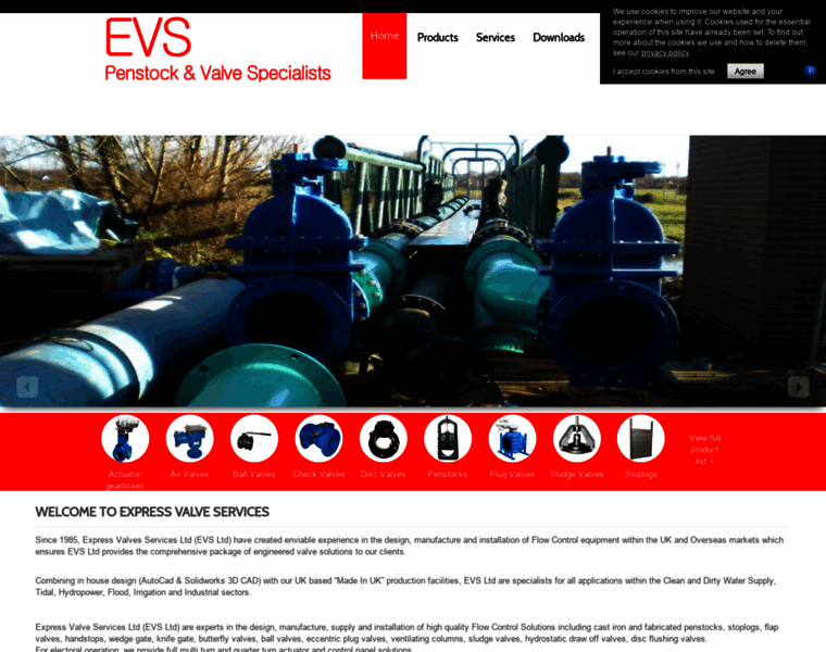 Express-valves.co.uk thumbnail