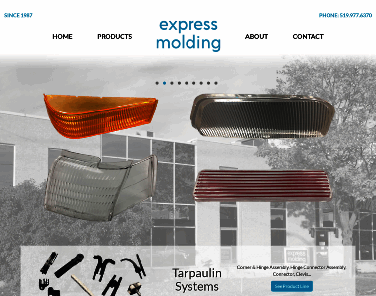Expressmolding.ca thumbnail