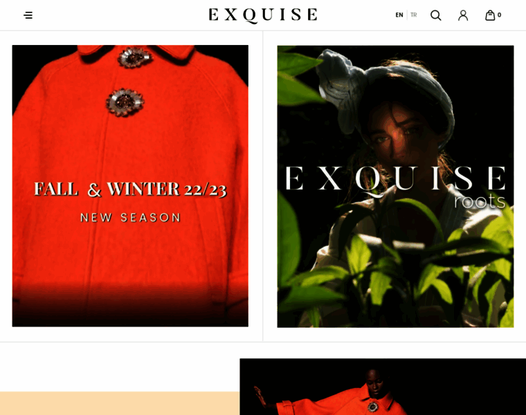 Exquise.com thumbnail
