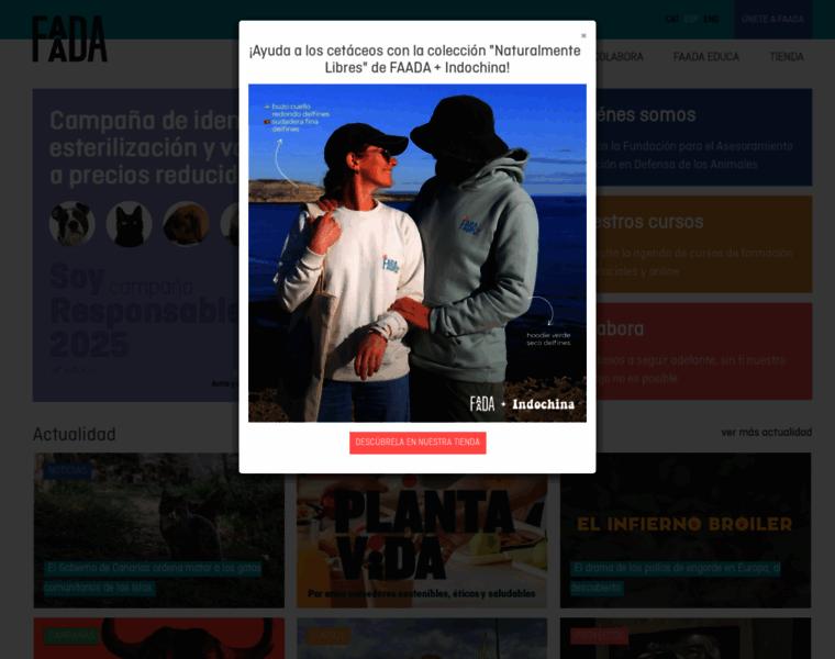 Faada.org thumbnail Faada.org thumbnail