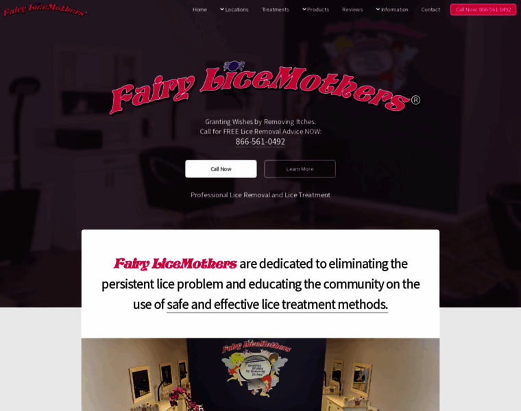 Fairylicemothers.com thumbnail
