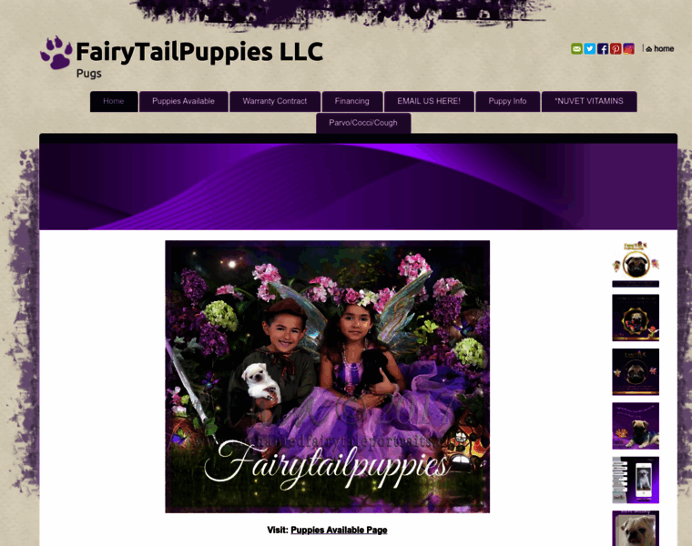 Fairytailpuppies.com thumbnail