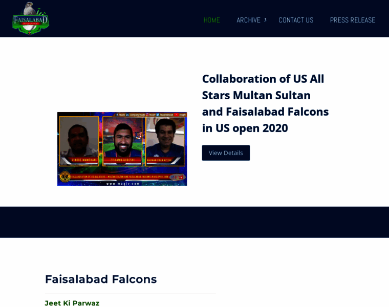 Faisalabadfalcons.com thumbnail