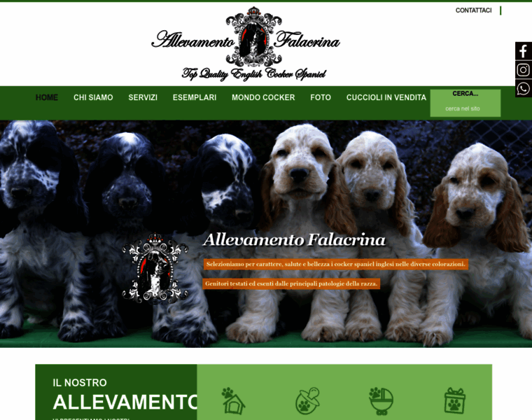 Falacrinacocker.com thumbnail