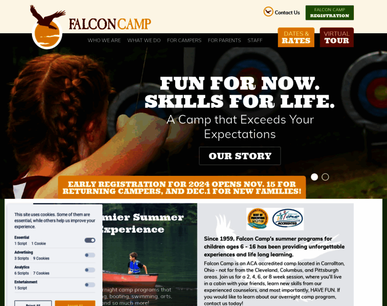 Falconcamp.com thumbnail