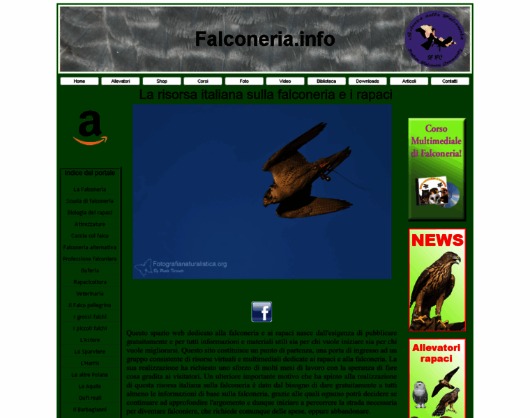 Falconeria.info thumbnail