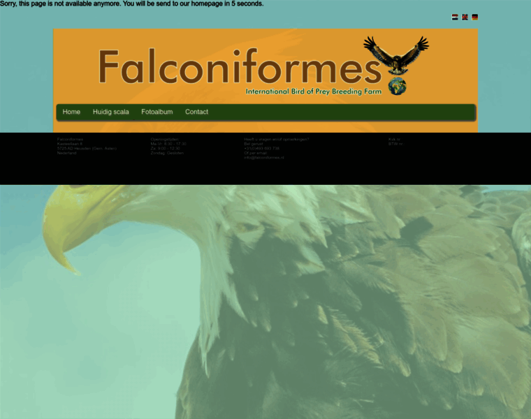 Falconiformes.nl thumbnail