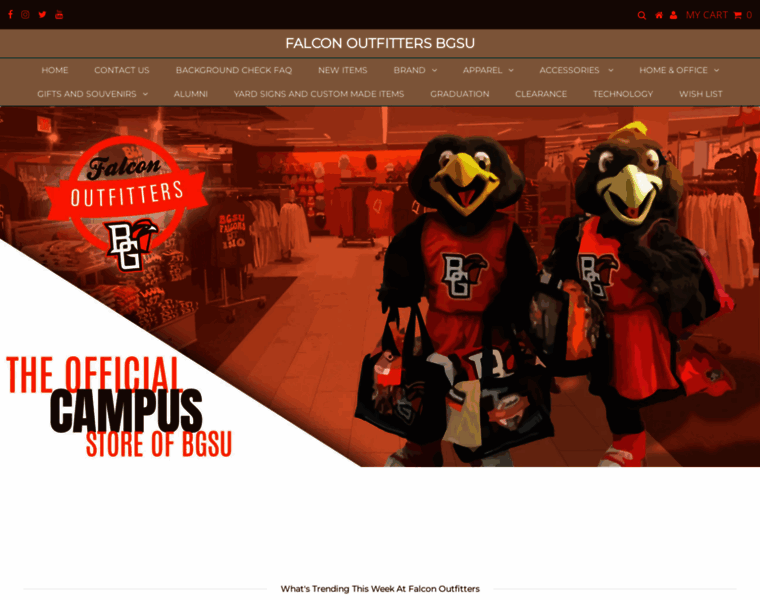 Falconoutfitter.com thumbnail