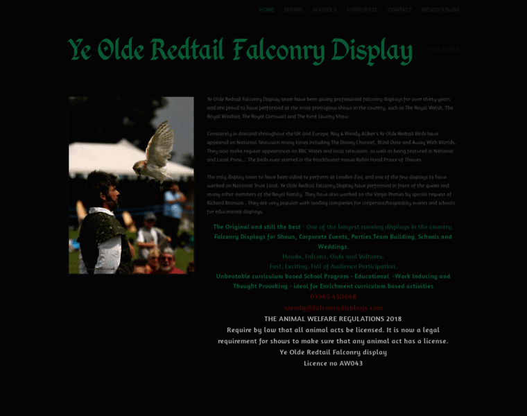 Falconrydisplays.com thumbnail