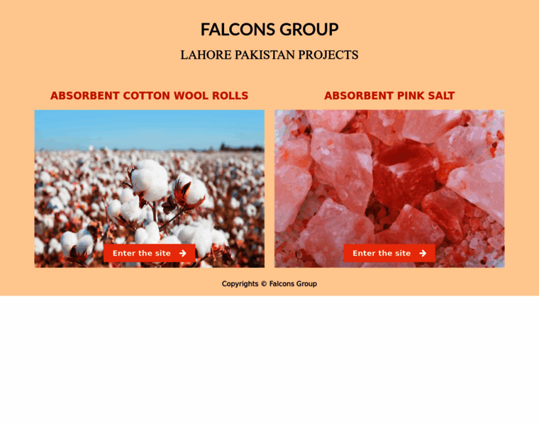 Falconsgroup.net thumbnail