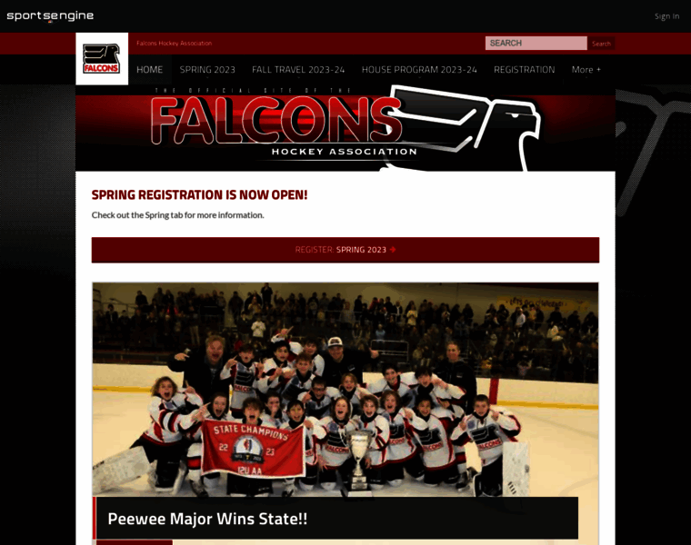 Falconshockey.org thumbnail
