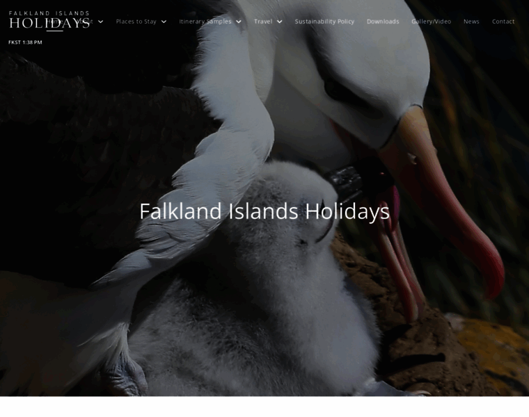 Falklandislandsholidays.com thumbnail