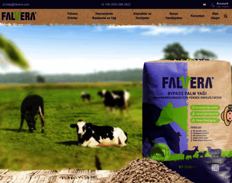 Falvera.com thumbnail Falvera.com thumbnail
