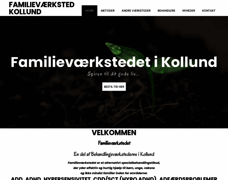 Familievaerksted.dk thumbnail