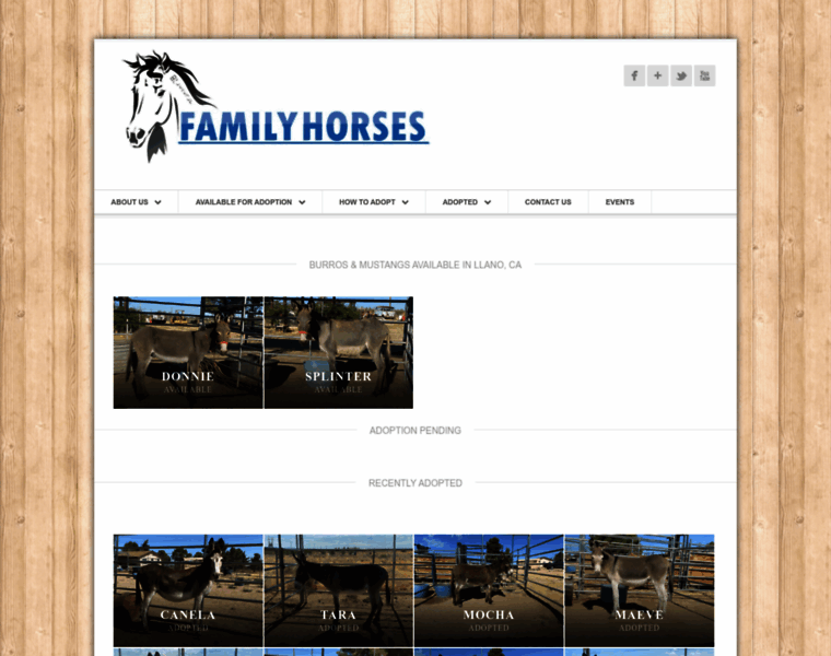 Familyhorses.net thumbnail