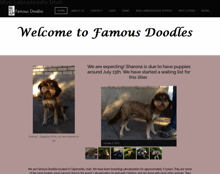 Famousdoodles.com thumbnail