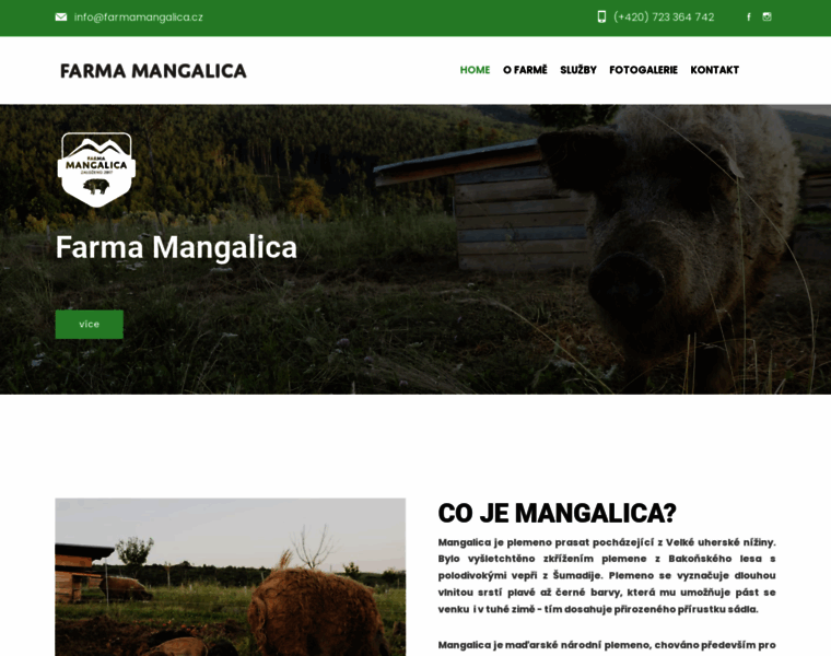 Farmamangalica.cz thumbnail