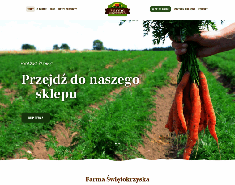 Farmaswietokrzyska.pl thumbnail