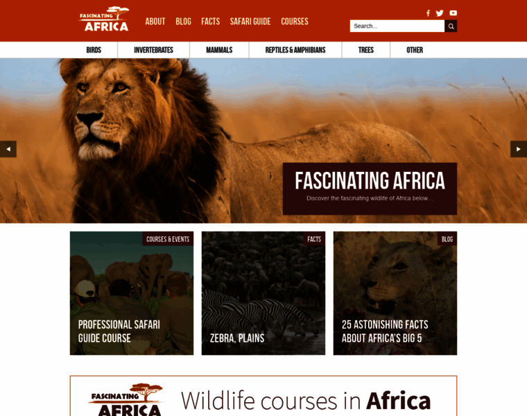 Fascinatingafrica.com thumbnail