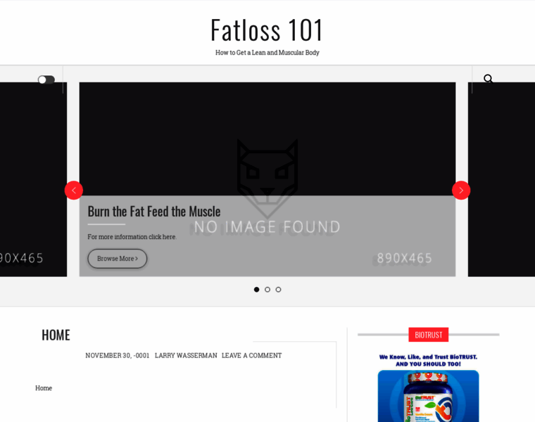 Fatloss101.net thumbnail