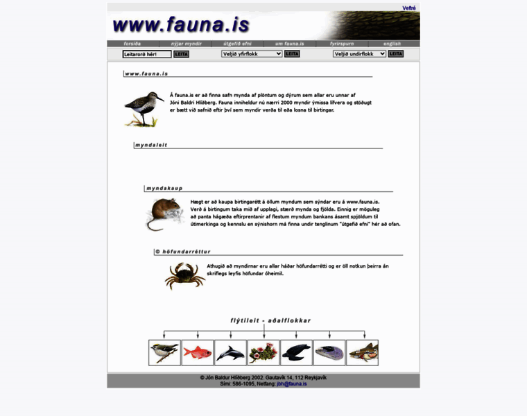 Fauna.is thumbnail