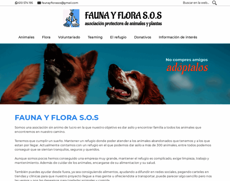 Faunayflorasos.com thumbnail