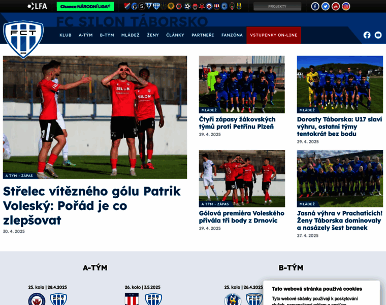 Fctaborsko.cz thumbnail