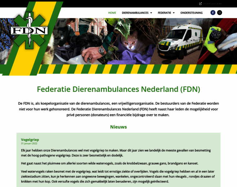 Fdn.nl thumbnail