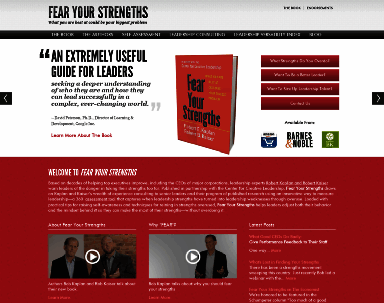 Fearyourstrengths.com thumbnail