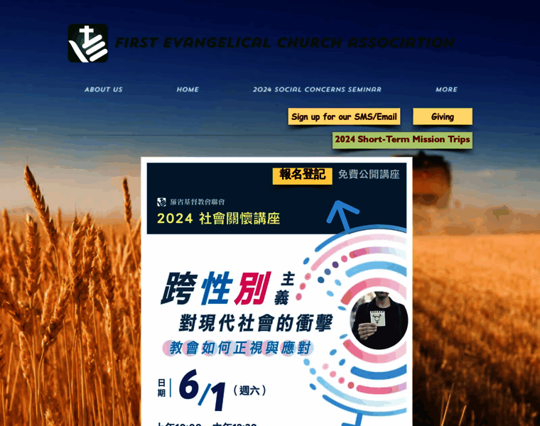 Feca.org thumbnail