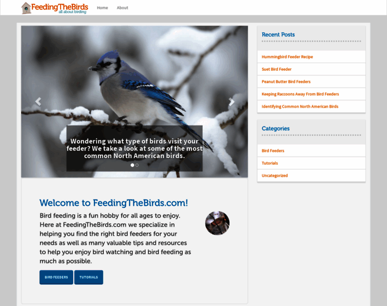 Feedingthebirds.com thumbnail