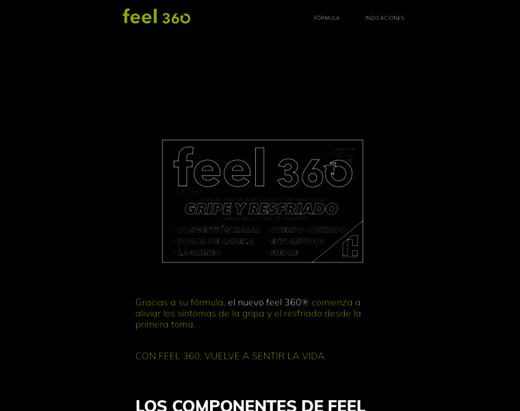 Feel360.mx thumbnail