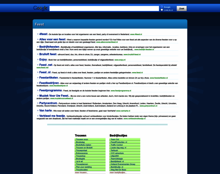 Feest.linklib.nl thumbnail