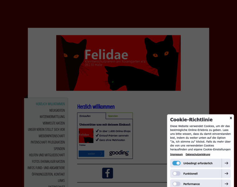 Felidae-halle.de thumbnail