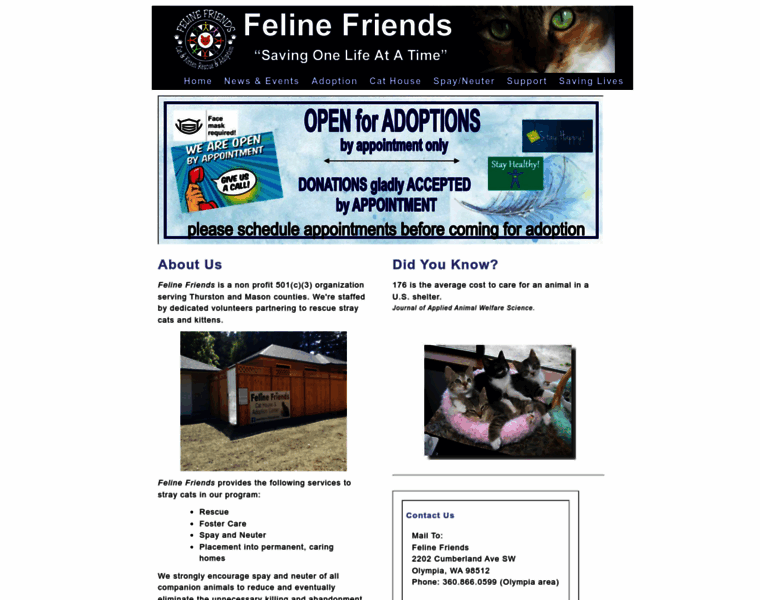 Feline-friends.net thumbnail