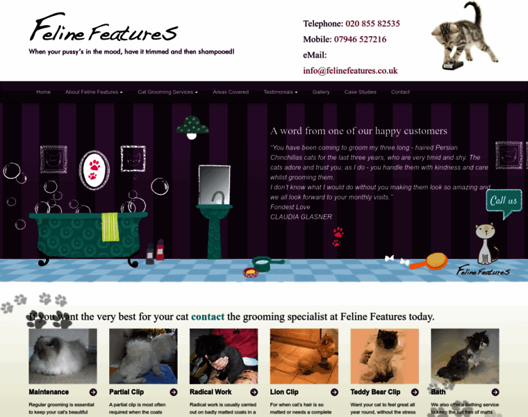 Felinefeatures.co.uk thumbnail