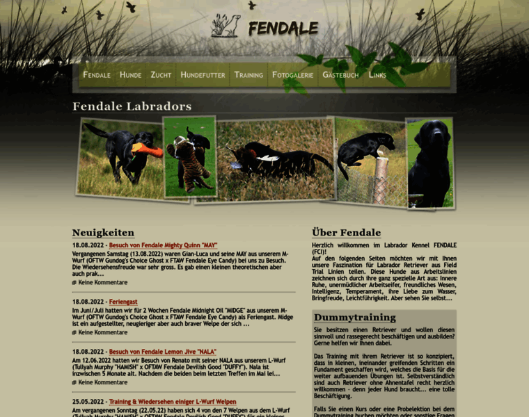 Fendale.ch thumbnail