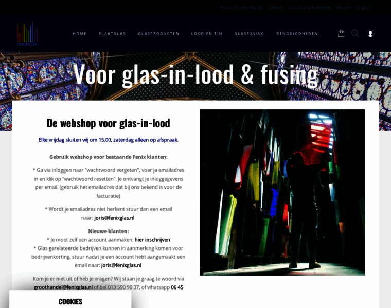 Fenixglas.nl thumbnail