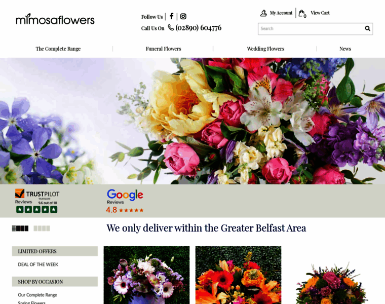 Fergusonflowers.co.uk thumbnail
