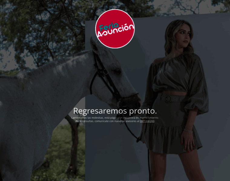 Feriaasuncion.com.py thumbnail
