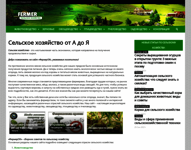 Fermerok.info thumbnail