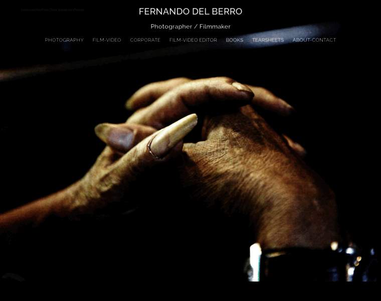 Fernandodelberro.com thumbnail