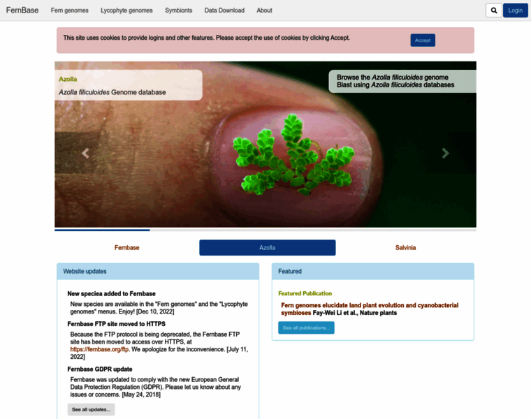 Fernbase.org thumbnail Fernbase.org thumbnail