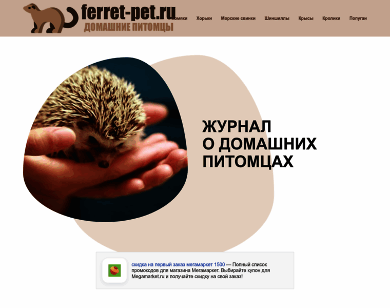 Ferret-pet.ru thumbnail