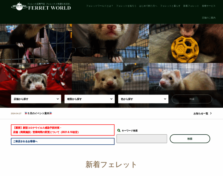 Ferret-world.jp thumbnail