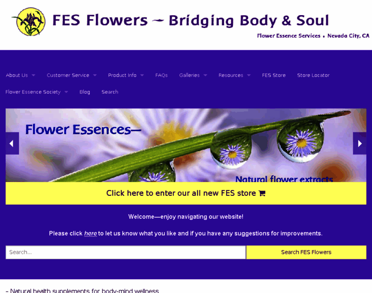 Fesflowers.com thumbnail