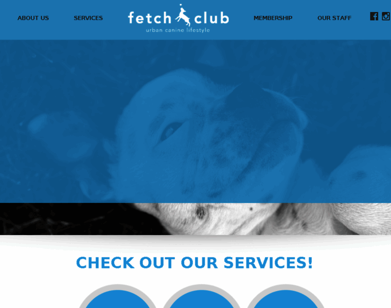 Fetchclub.com thumbnail