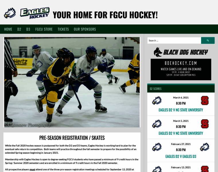 Fgcuhockey.net thumbnail