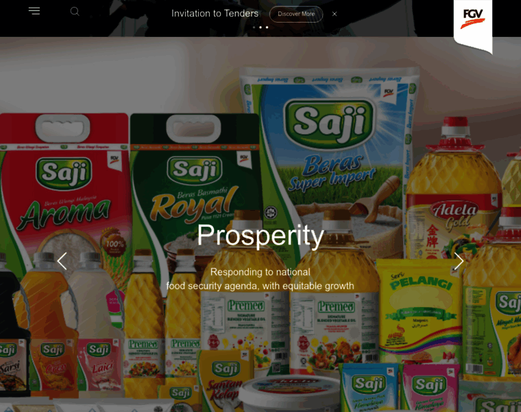 Fgvholdings.com thumbnail