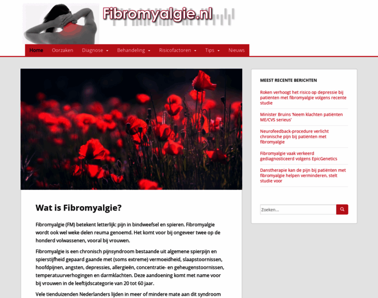 Fibromyalgie.nl thumbnail